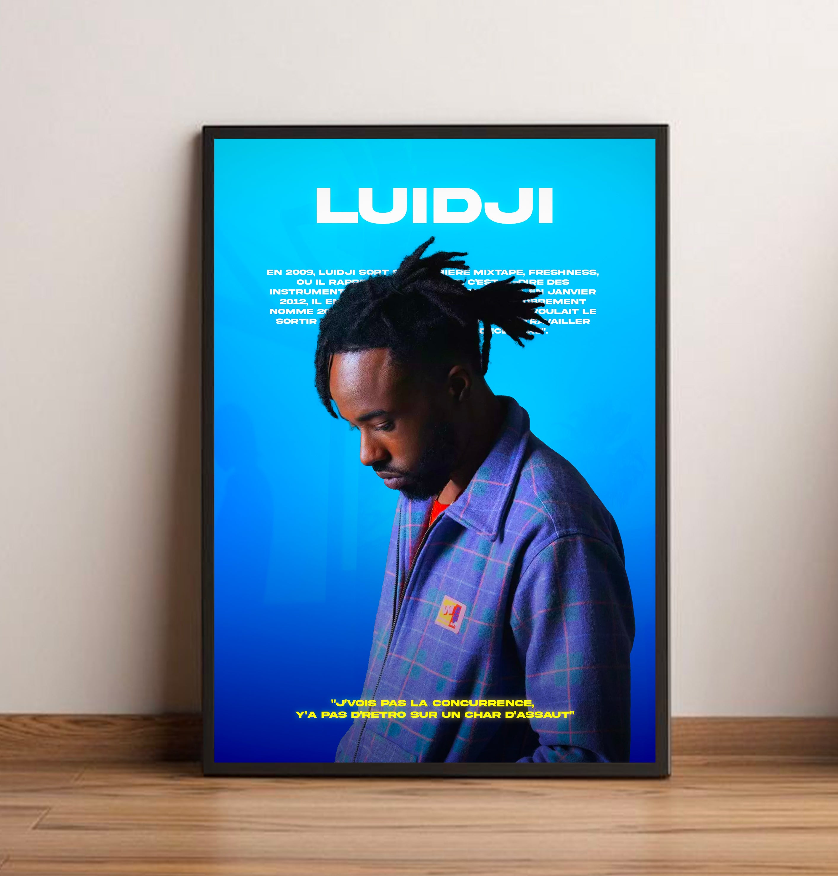 Poster Luidji