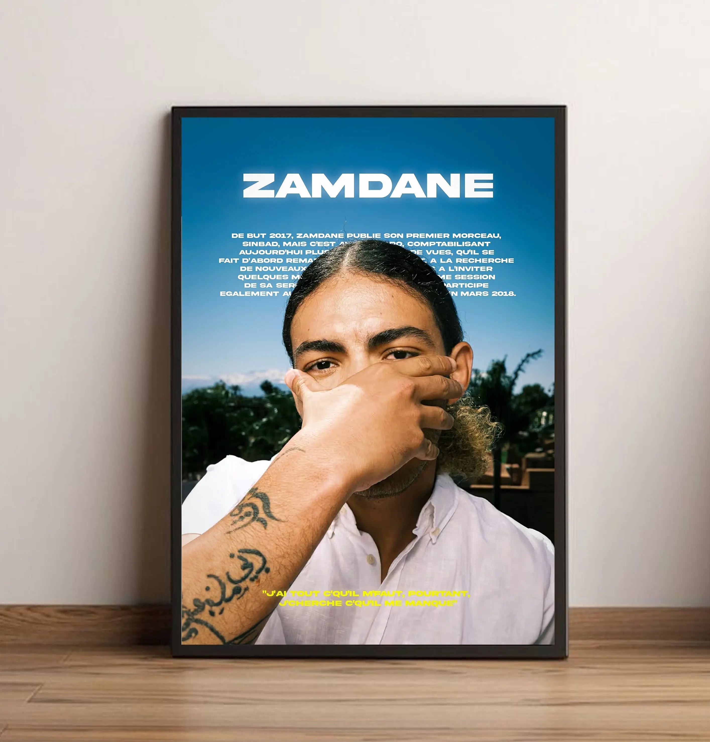 Poster Zamdane