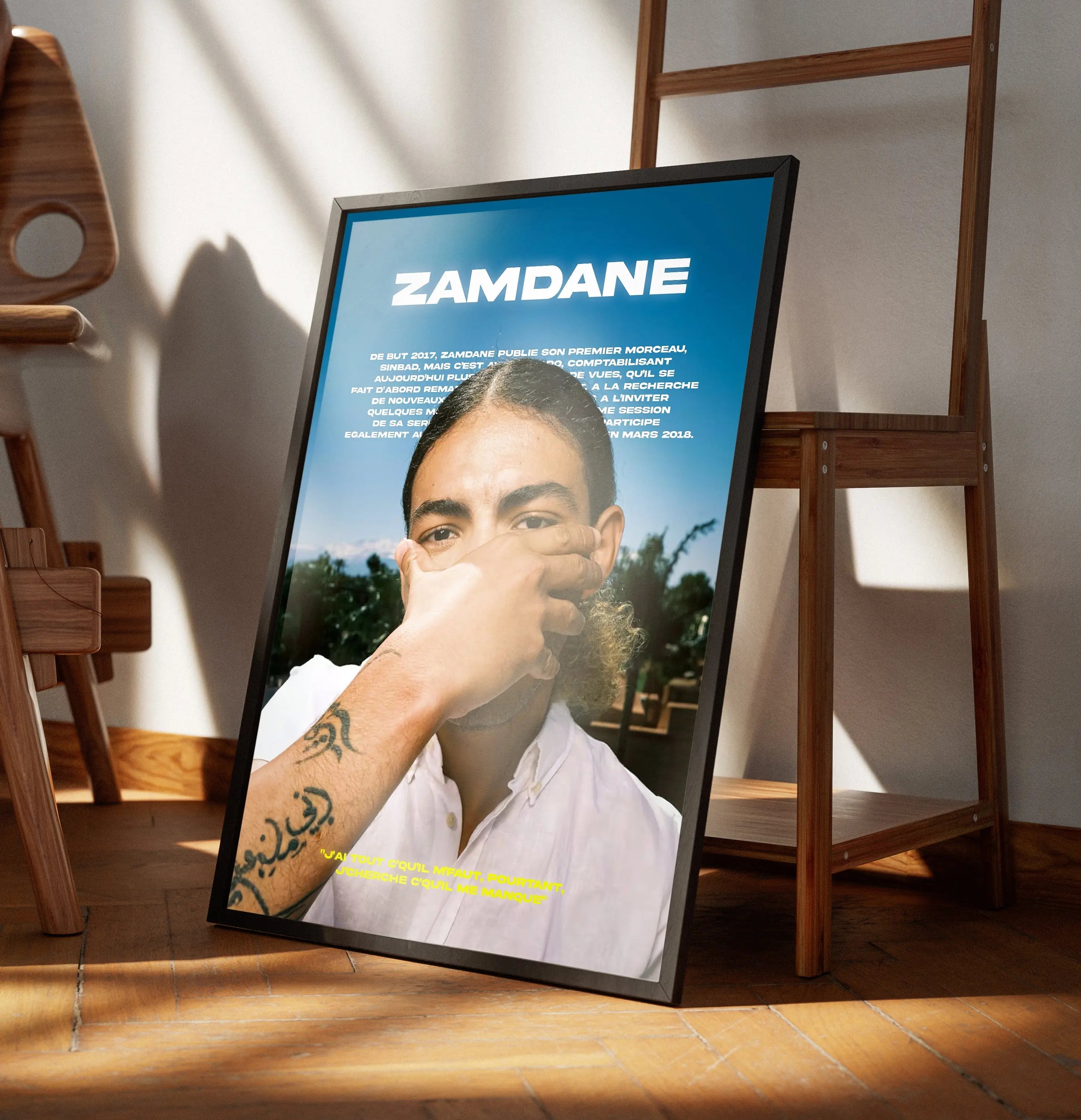 Poster Zamdane